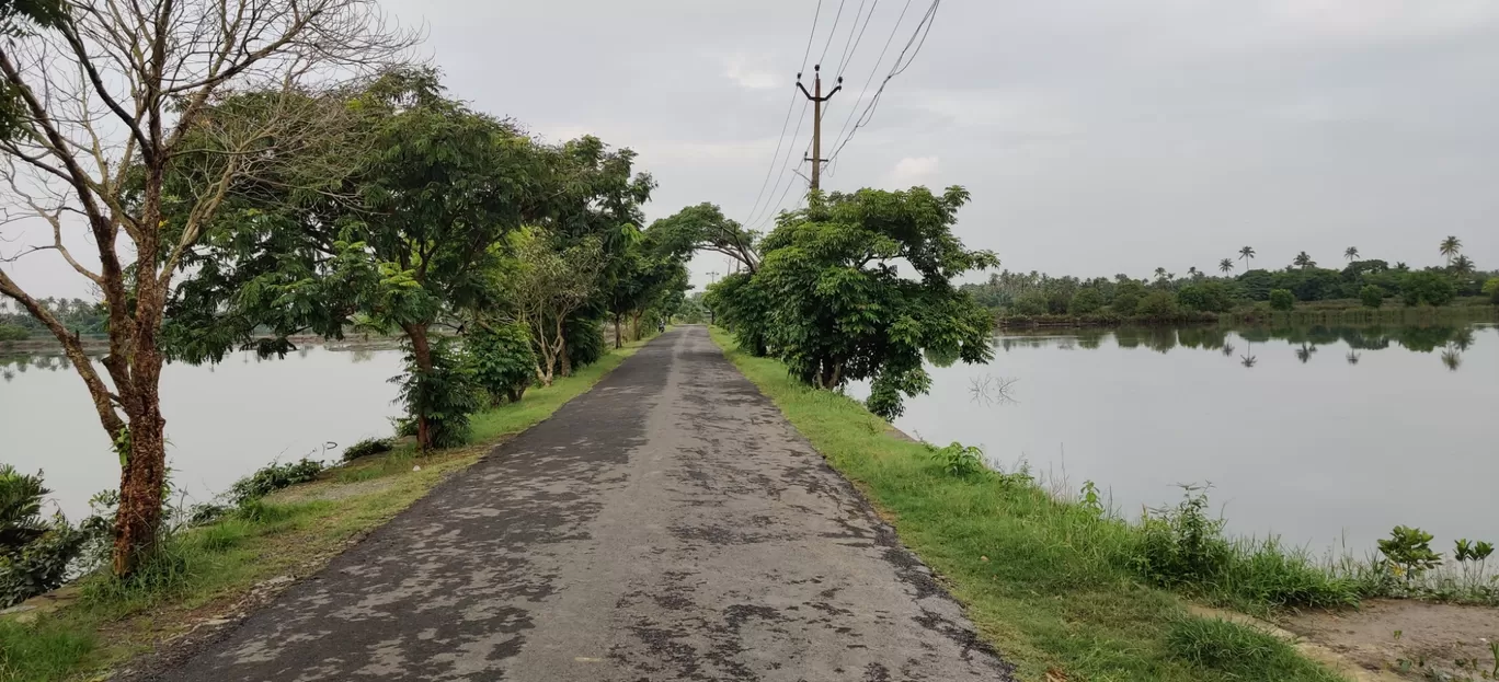 Photo of Kadamakkudy By jose raphael