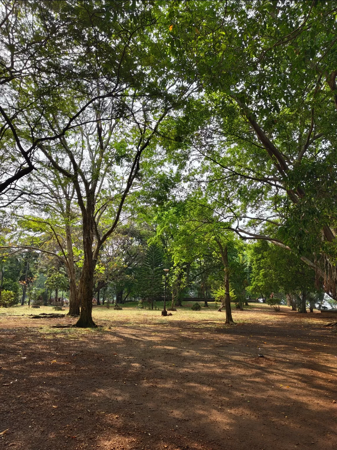 Photo of Subhash Bose Park By jose raphael