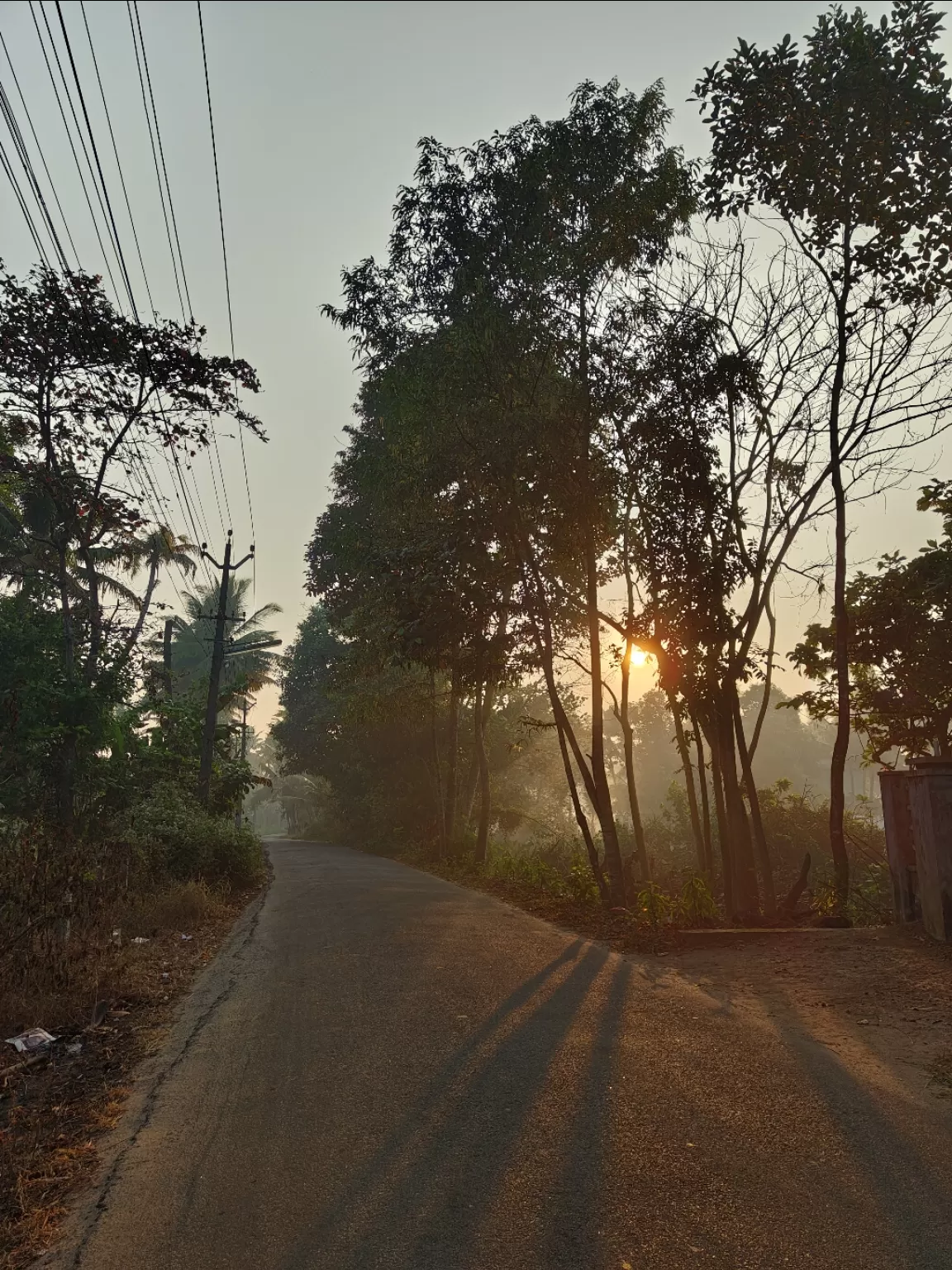 Photo of Pattanakkad By jose raphael