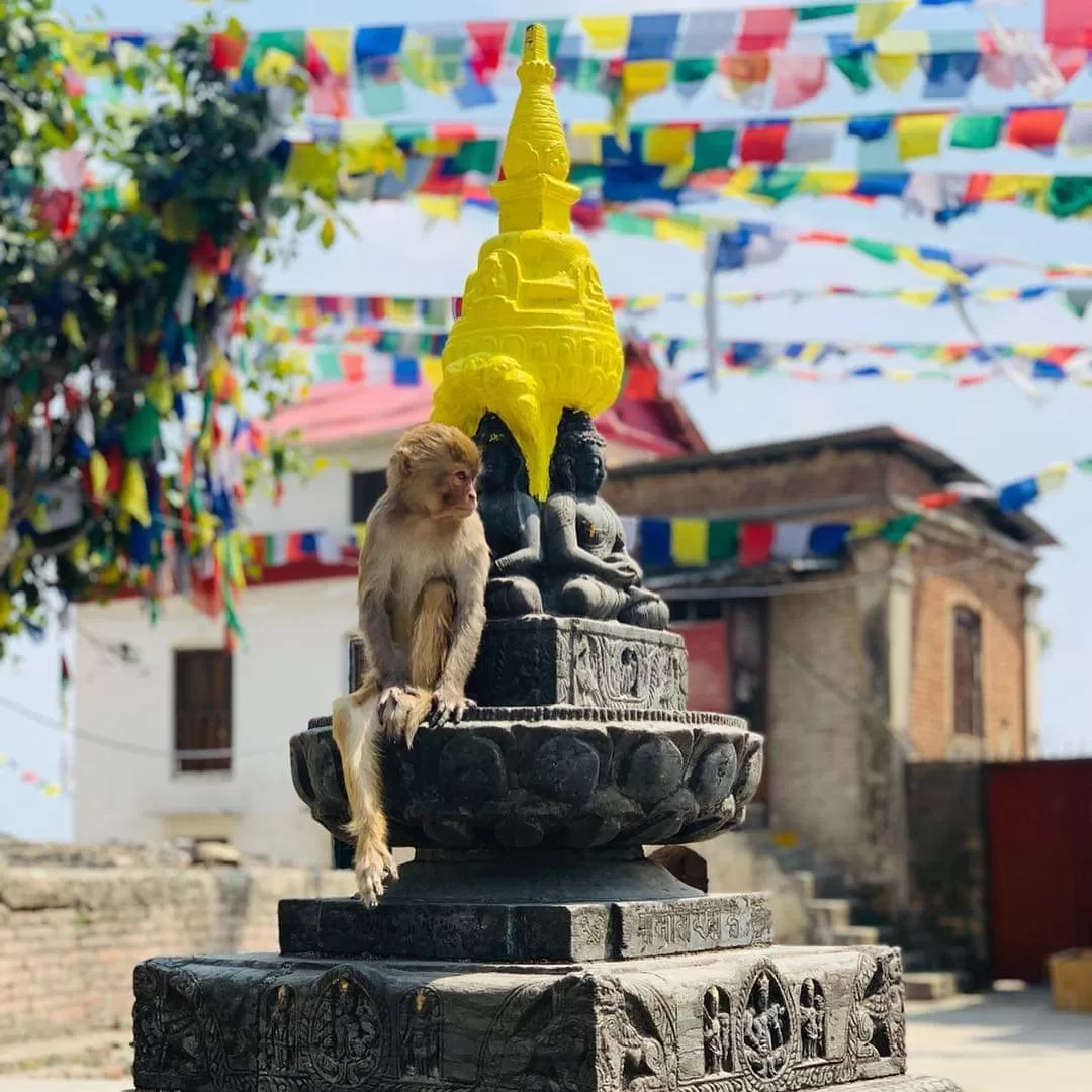 Photo of Thamel By Ram Kumar Adhikari