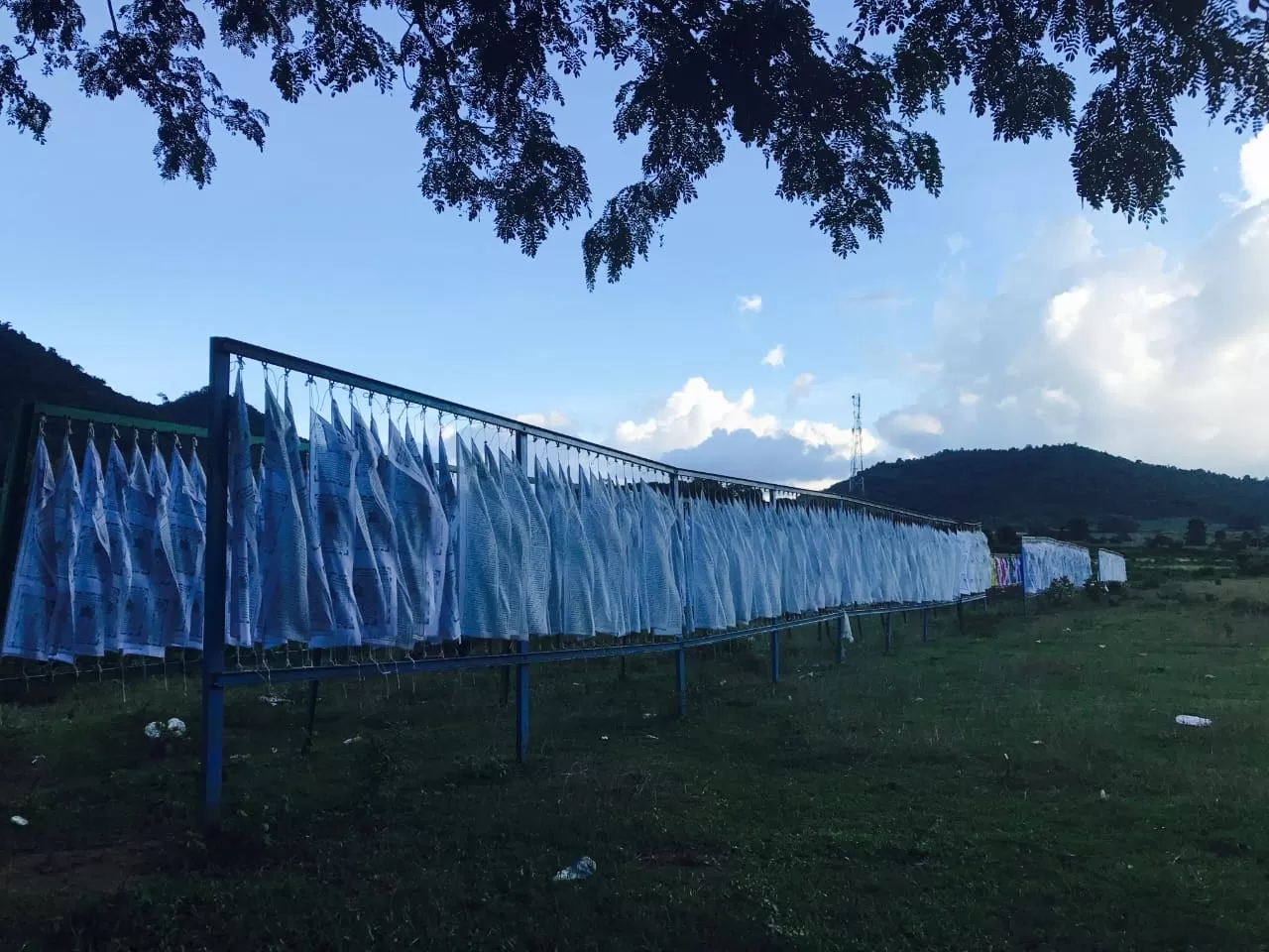 Photo of Jiranga By Manisha Patnaik