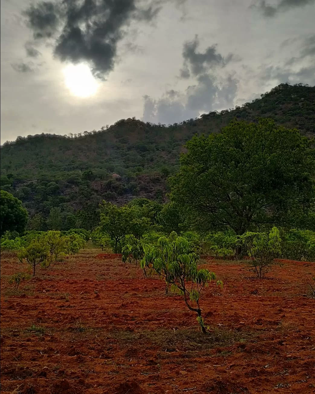 Photo of Krishnagiri By Shalini Magdel Das