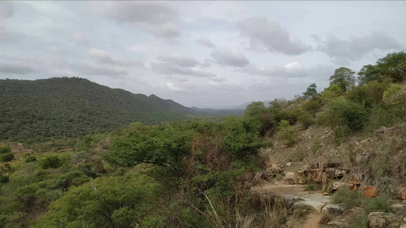 Photo of Krishnagiri By Shalini Magdel Das