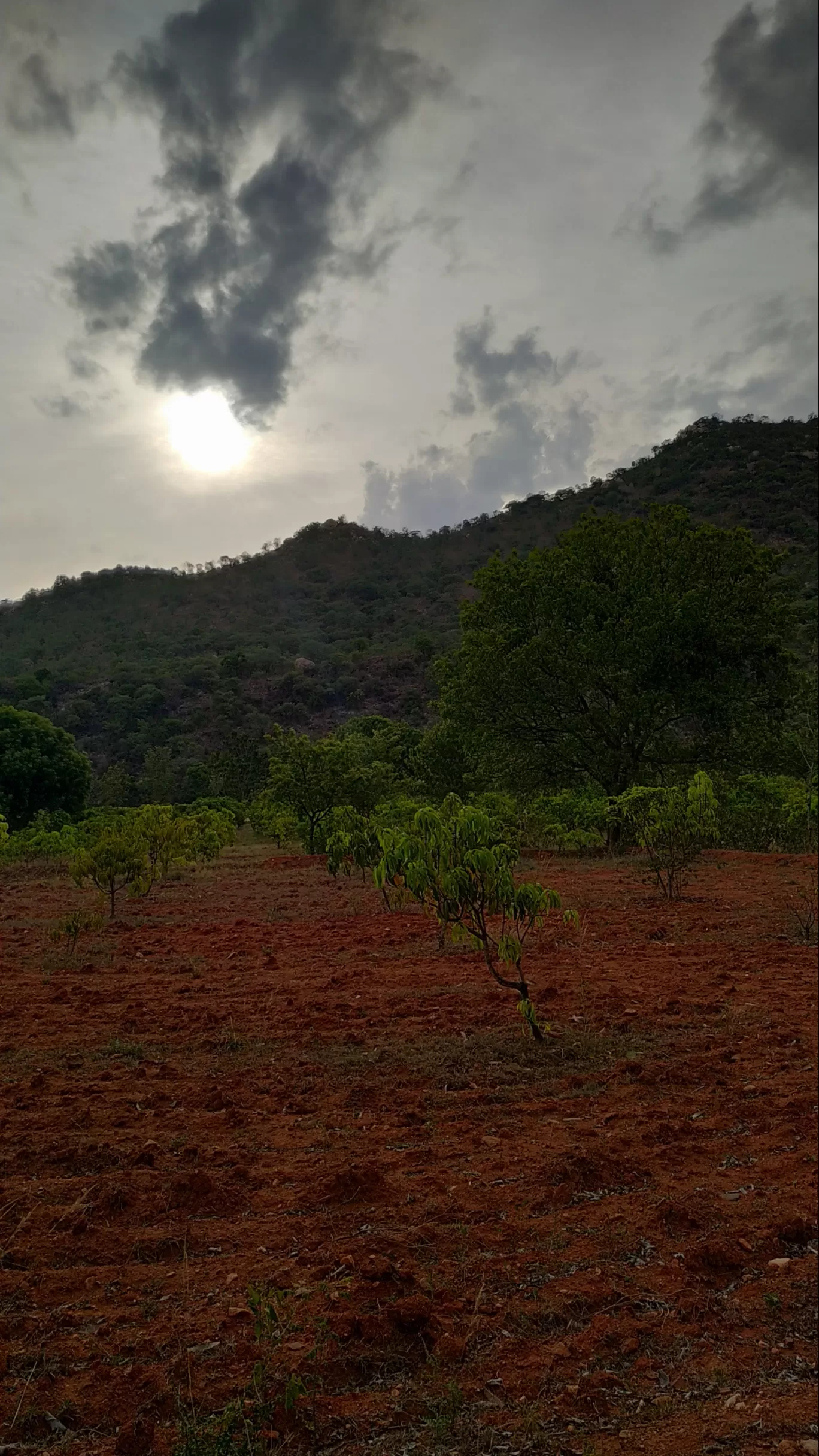 Photo of Krishnagiri By Shalini Magdel Das