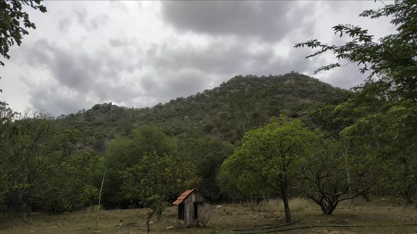 Photo of Krishnagiri By Shalini Magdel Das