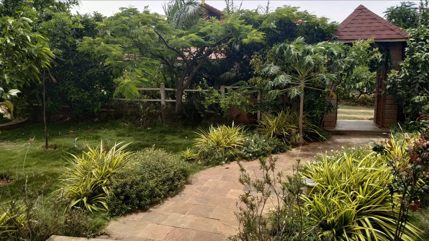 Photo of Marandahalli By Shalini Magdel Das