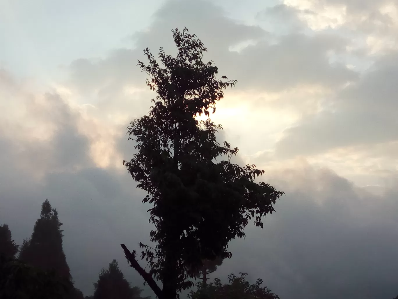 Photo of Chatakpur By Rover Rachita