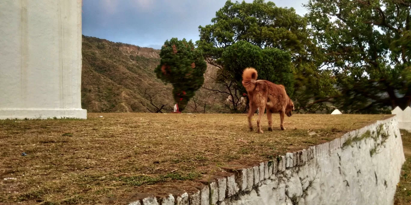 Photo of Dehradun By Rishabh CHawla