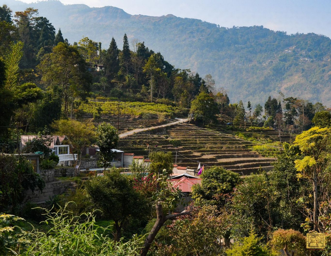 Photo of Darjeeling Blossom Ecotourism Complex - Bara Mangwa By Bongyatri - Sourav and Anindita