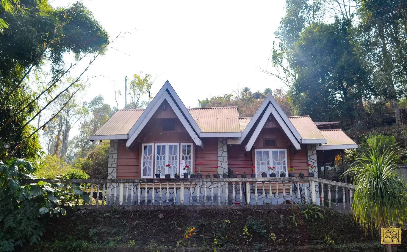 Photo of Darjeeling Blossom Ecotourism Complex - Bara Mangwa By Bongyatri - Sourav and Anindita