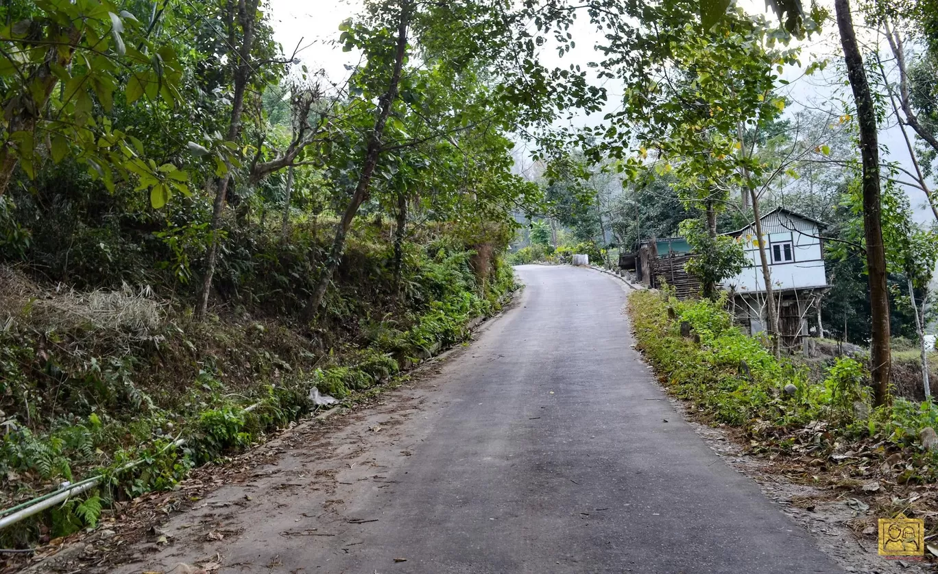 Photo of Darjeeling Blossom Ecotourism Complex - Bara Mangwa By Bongyatri - Sourav and Anindita