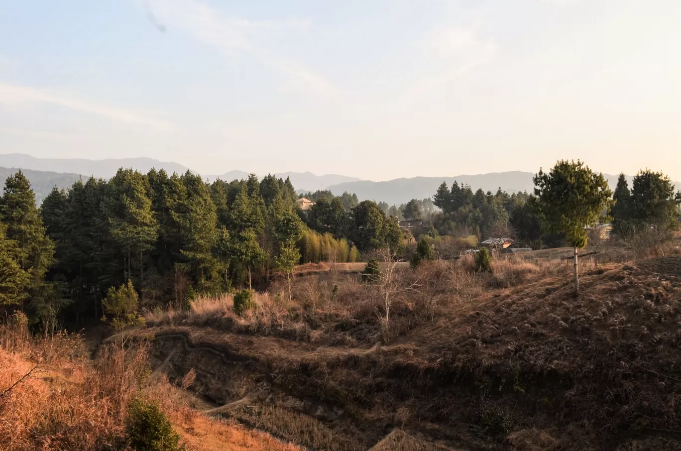 Photo of Ziro By Bongyatri - Sourav and Anindita