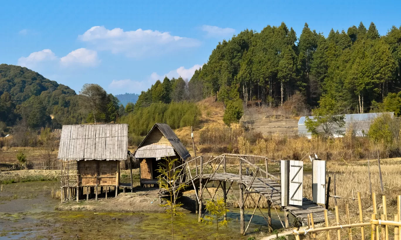 Photo of Ziro By Bongyatri - Sourav and Anindita