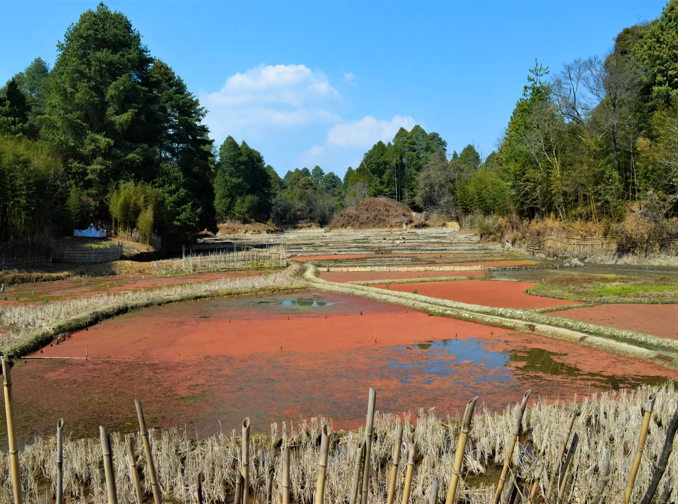 Photo of Ziro By Bongyatri - Sourav and Anindita