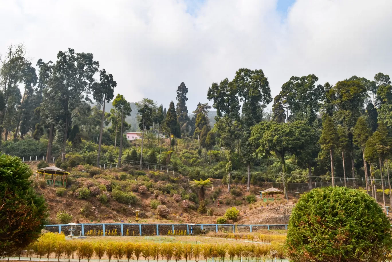 Photo of Takdah Orchid Center By Bongyatri - Sourav and Anindita