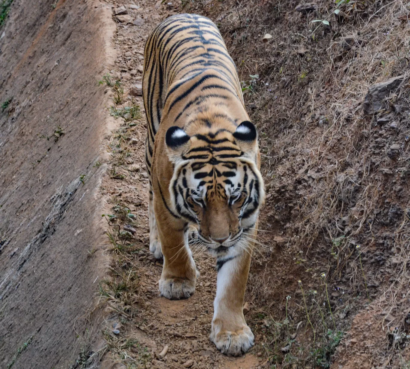 Photo of Odisha By Bongyatri - Sourav and Anindita