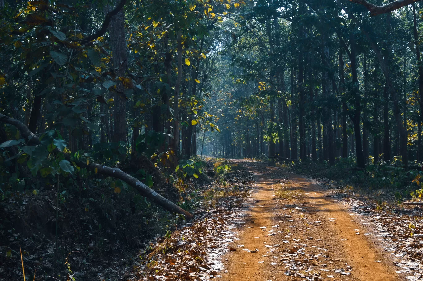 Photo of Odisha By Bongyatri - Sourav and Anindita
