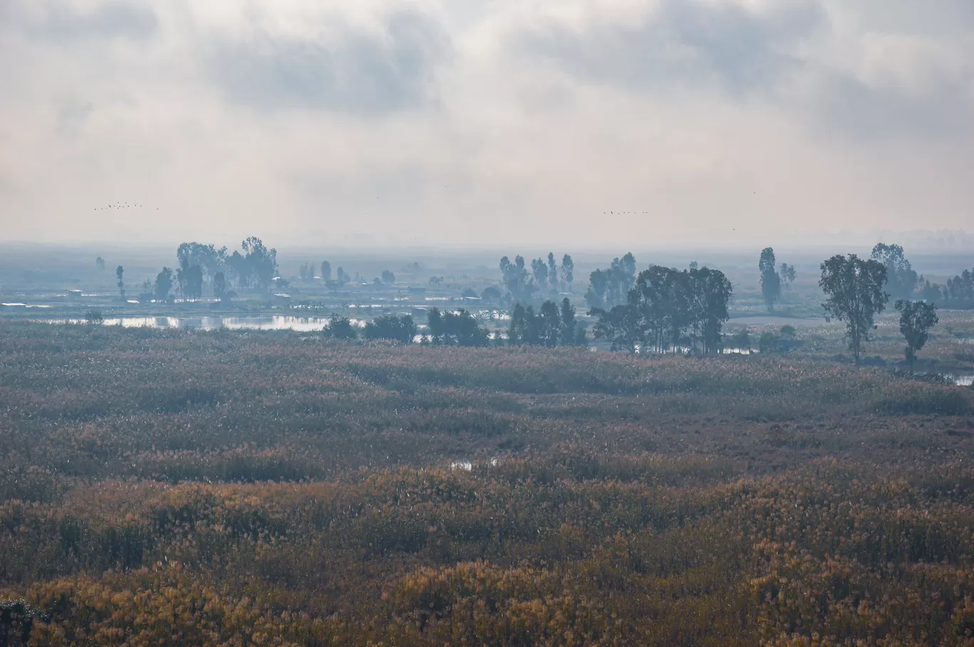 Photo of Keibul Lamjao National Park By Bongyatri - Sourav and Anindita