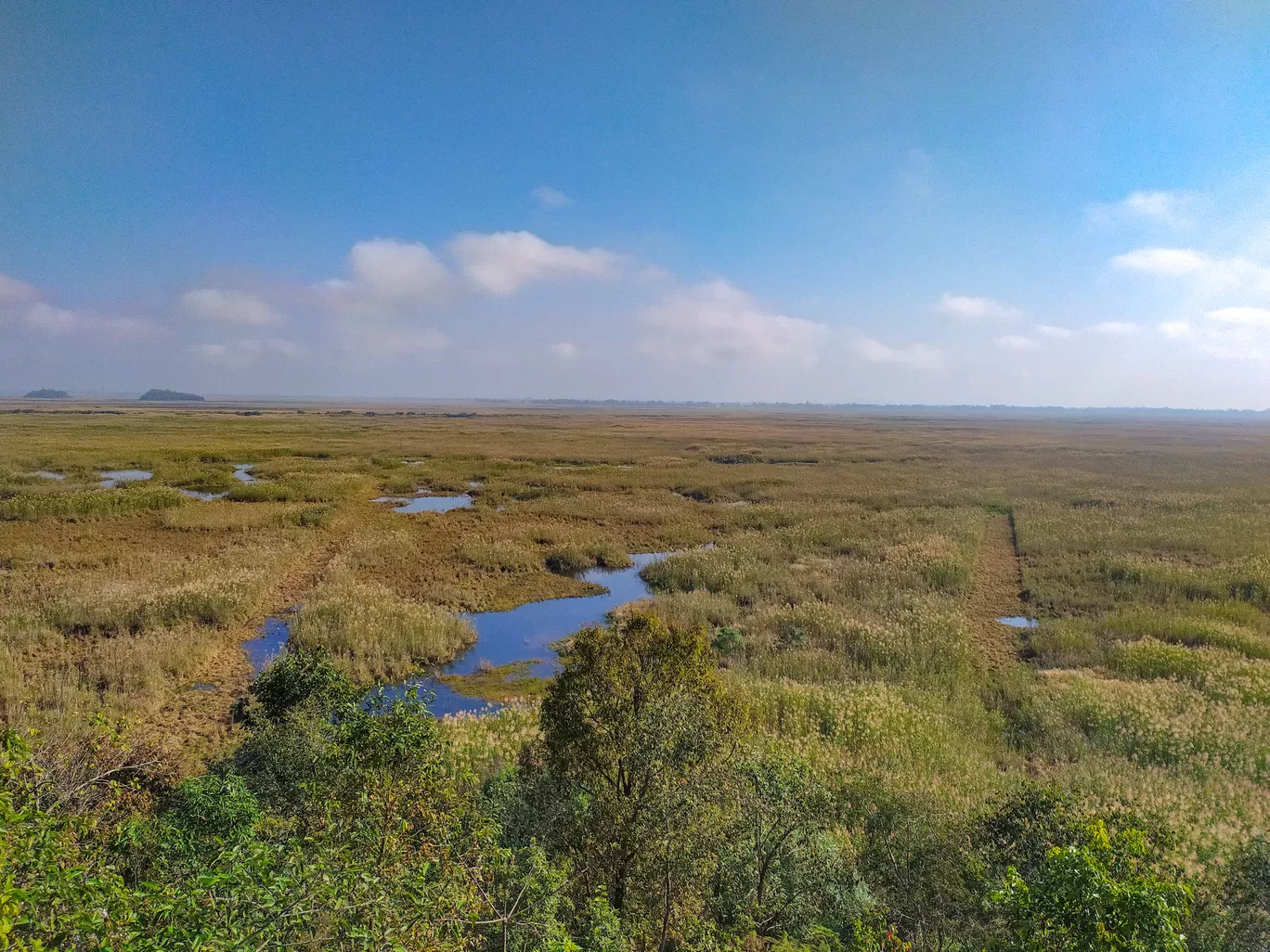 Photo of Keibul Lamjao National Park By Bongyatri - Sourav and Anindita