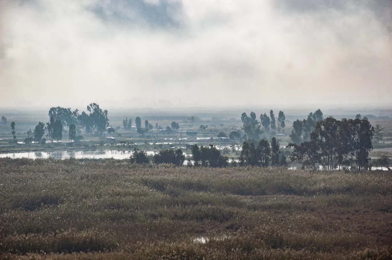 Photo of Keibul Lamjao National Park By Bongyatri - Sourav and Anindita