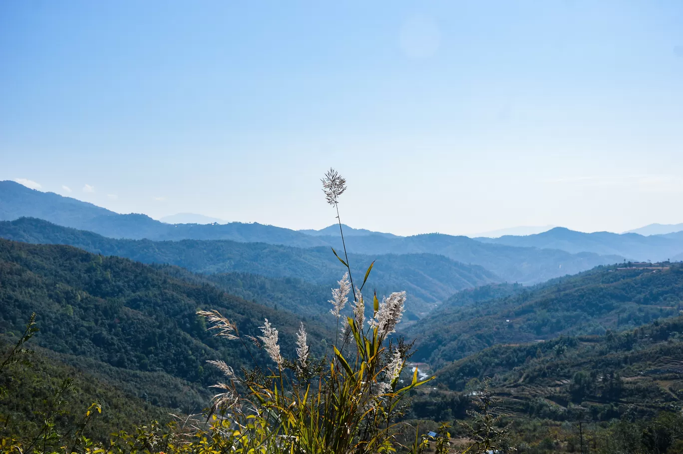Photo of Ukhrul By Bongyatri - Sourav and Anindita