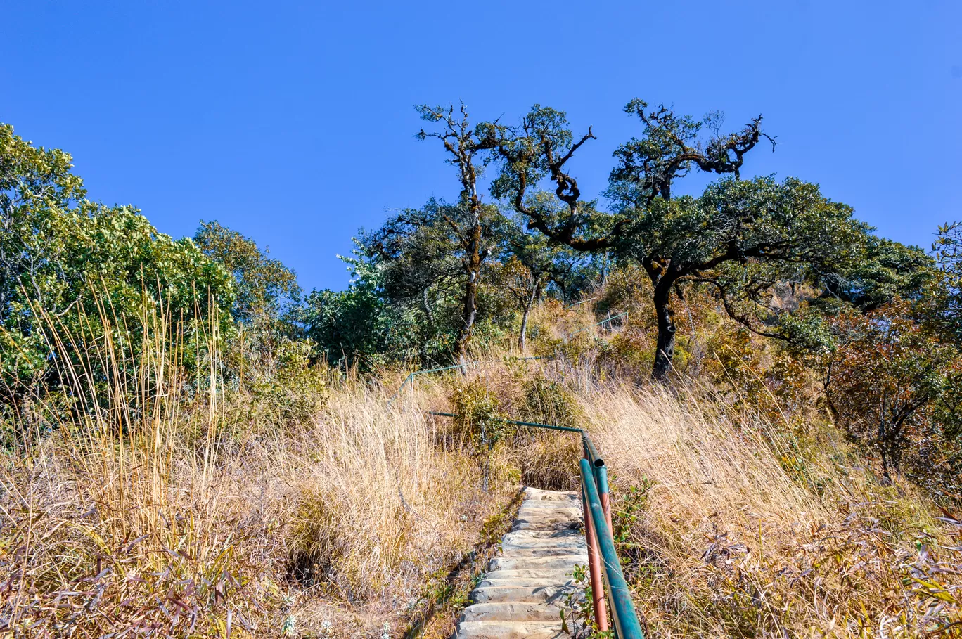 Photo of Ukhrul By Bongyatri - Sourav and Anindita