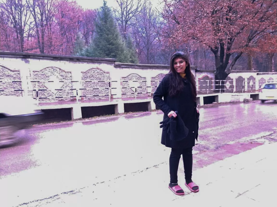 Photo of Manali By Vaibhavi Haria