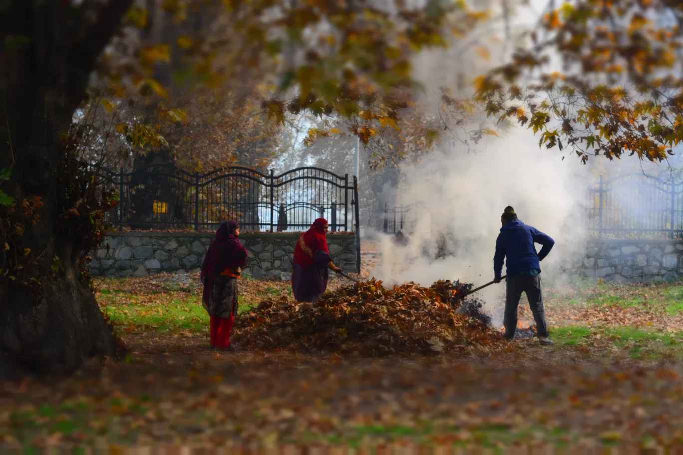Photo of Srinagar By Kanj Saurav