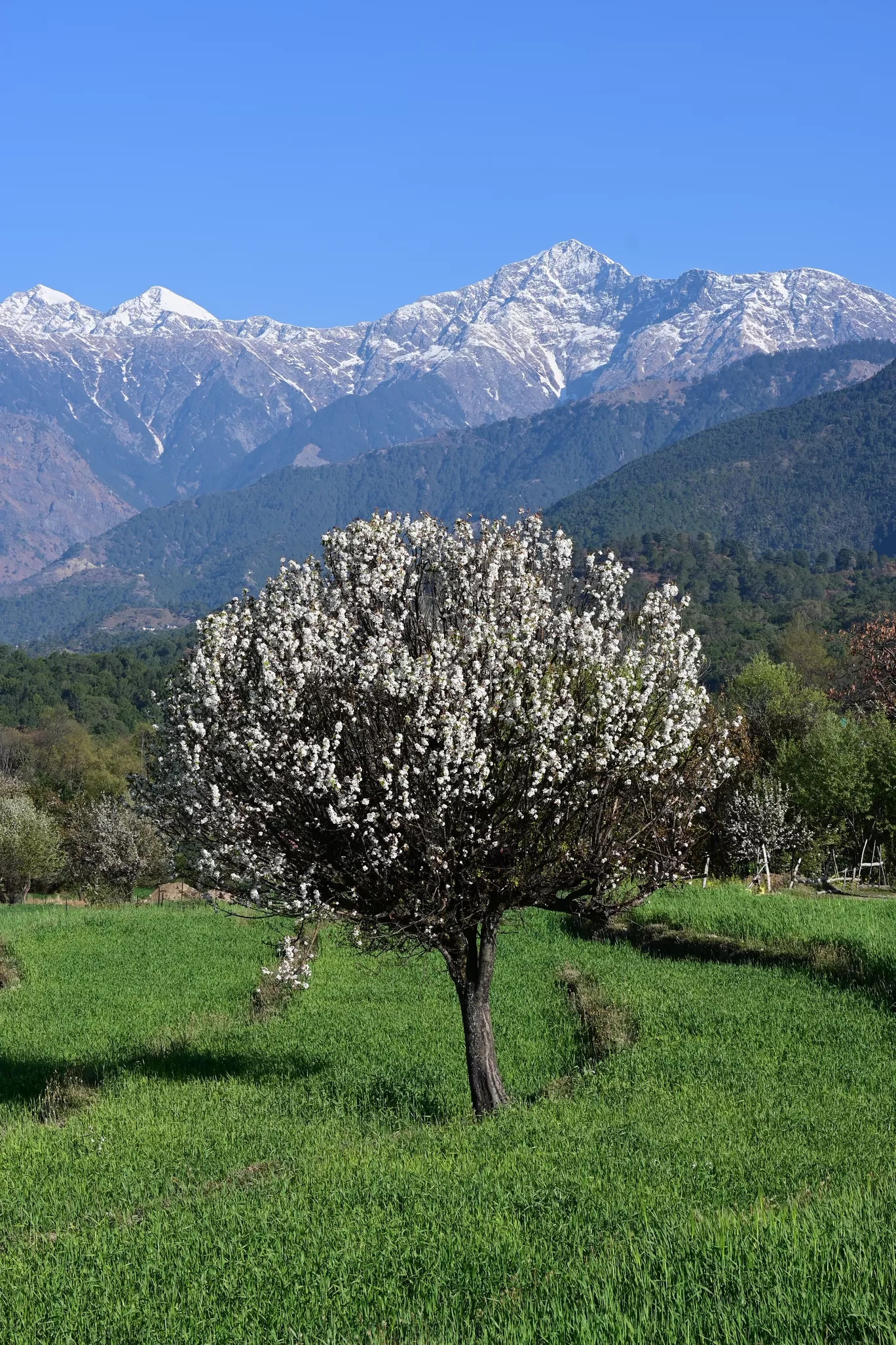 Photo of Bir By Kanj Saurav