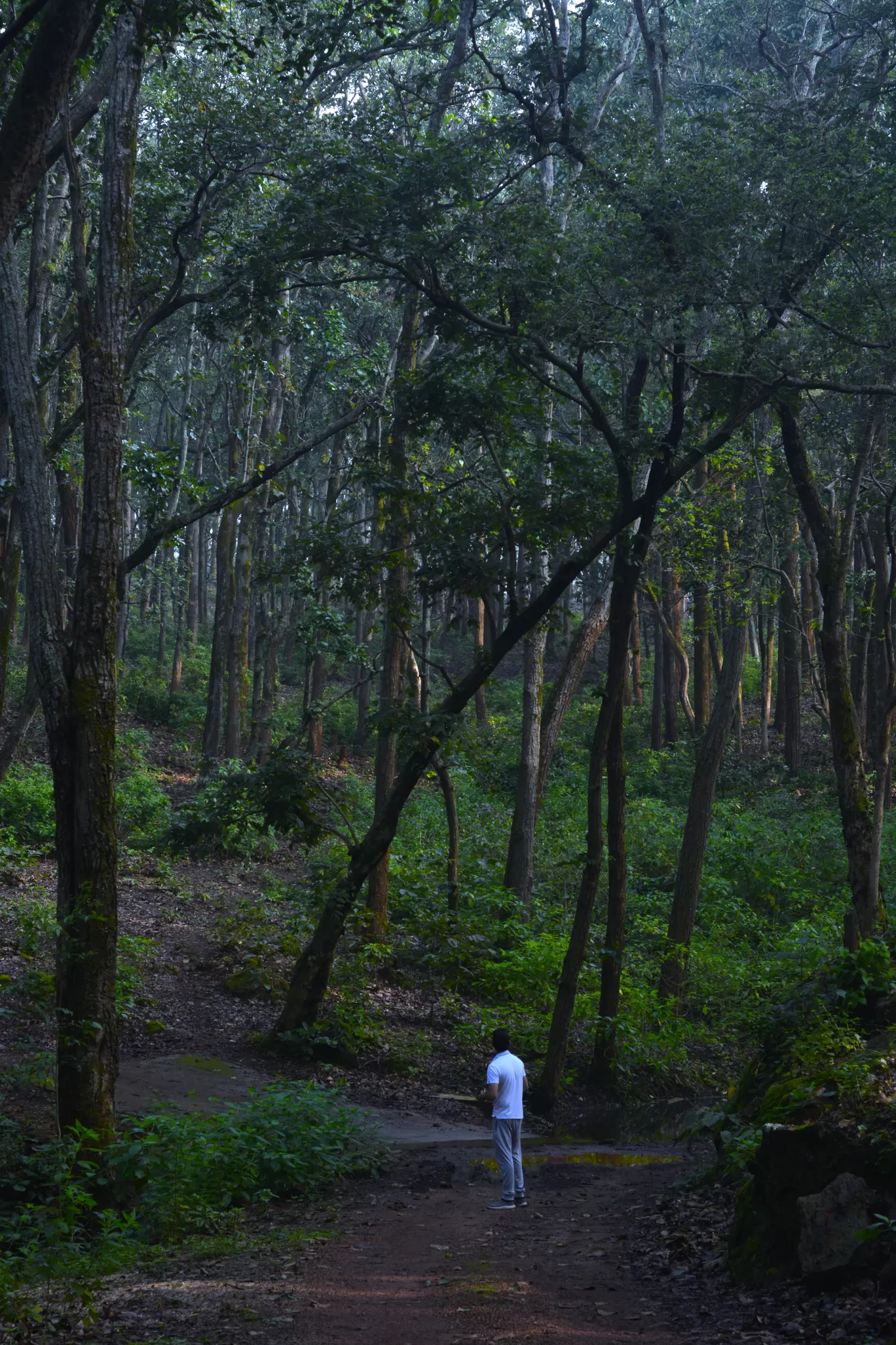 Photo of Jharkhand By Kanj Saurav