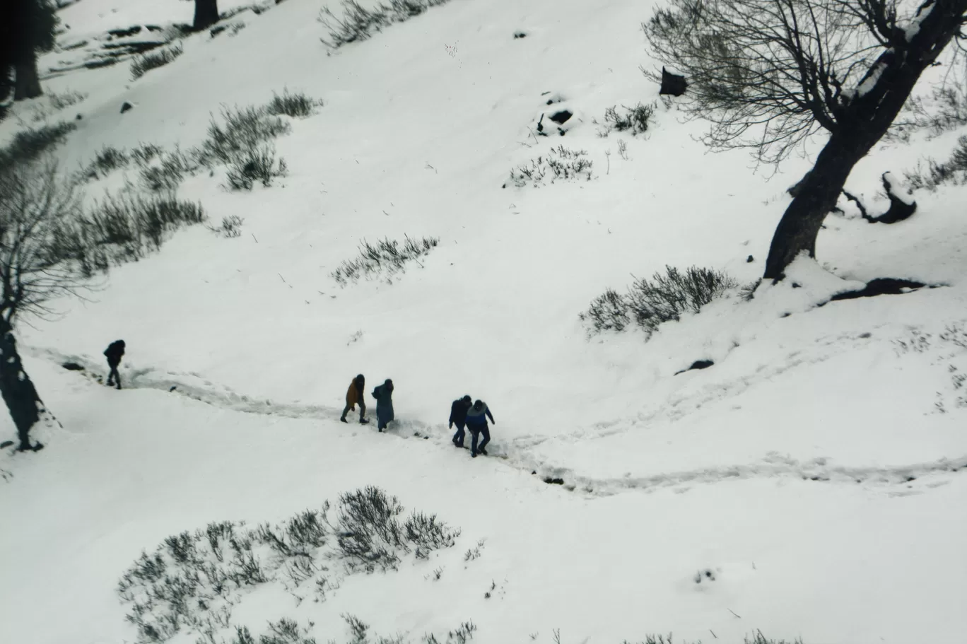 Photo of Gulmarg By Kanj Saurav