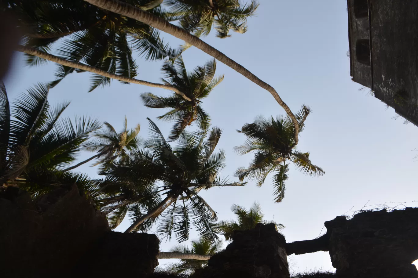 Photo of Revdanda Beach By Kanj Saurav