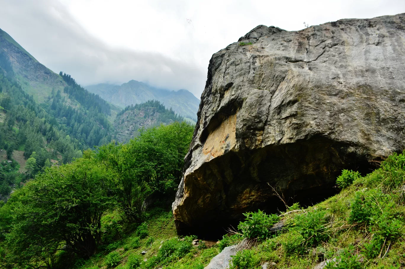 Photo of Tosh By Kanj Saurav