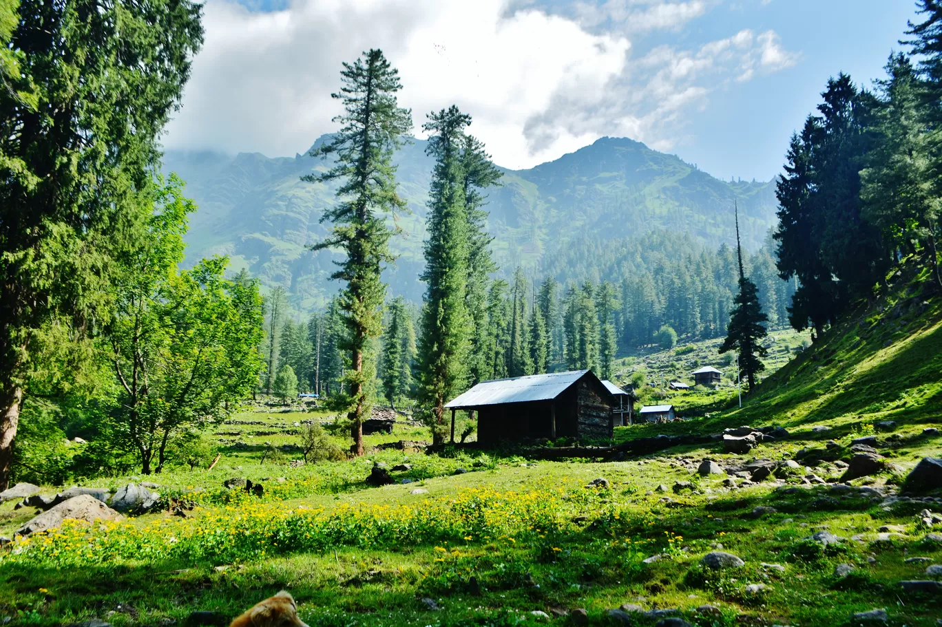 Photo of Tosh By Kanj Saurav
