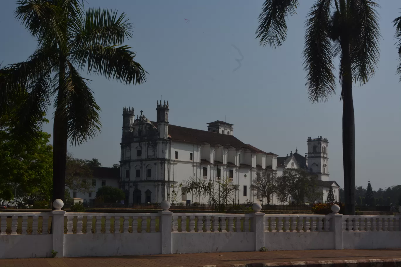 Photo of Vela By Kanj Saurav