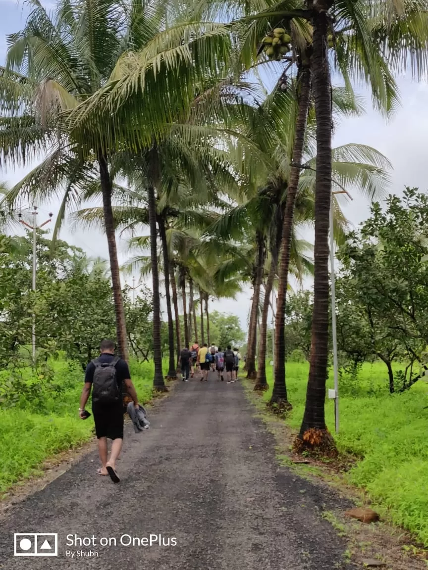 Photo of Kolad By Shraddha Rajput
