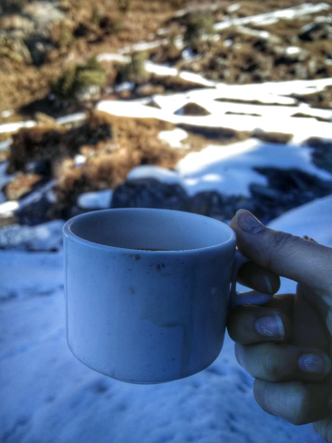 Photo of Chopta By Shraddha Rajput