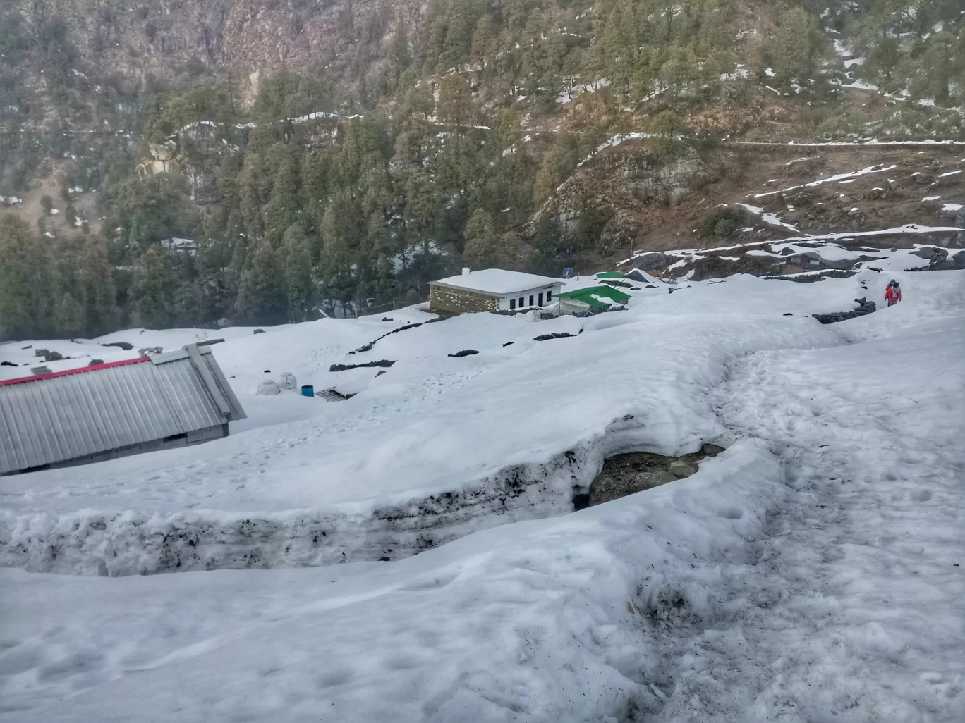 Photo of Chopta By Shraddha Rajput