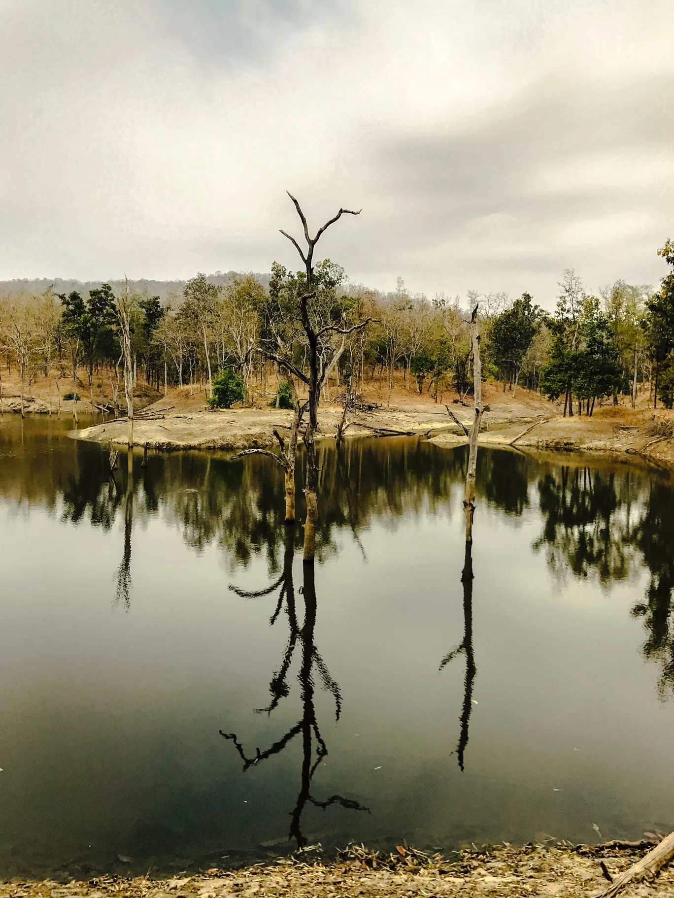 Photo of Pench National Park By Harshit Mundra