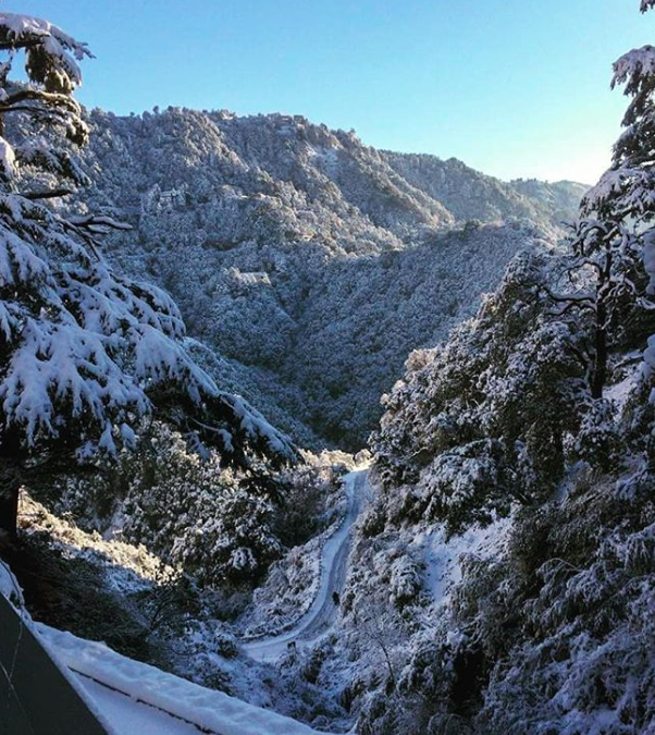 Photo of Mussoorie By Ganga Shinghal