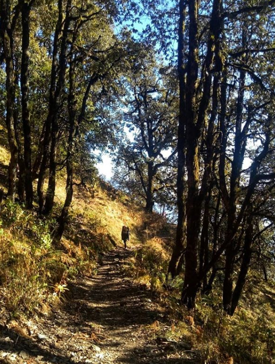 Photo of Mussoorie By Ganga Shinghal