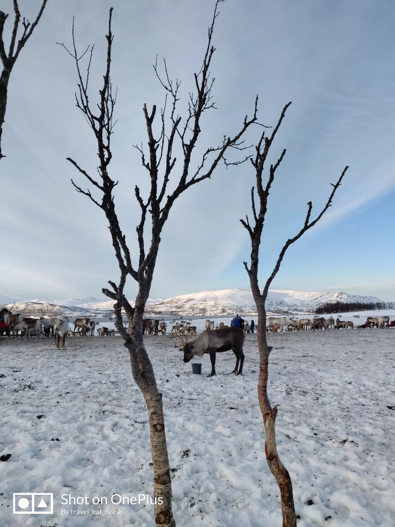 Photo of Tromsø By Mahesha Mahadevappa