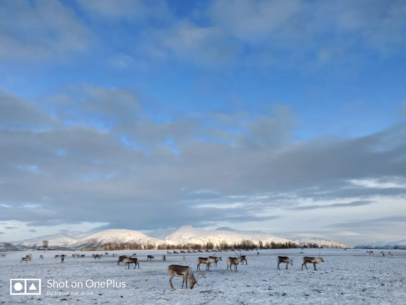 Photo of Tromsø By Mahesha Mahadevappa