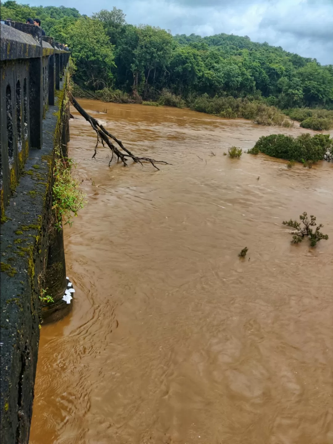 Photo of Gangavali Bridge By Guru Naik
