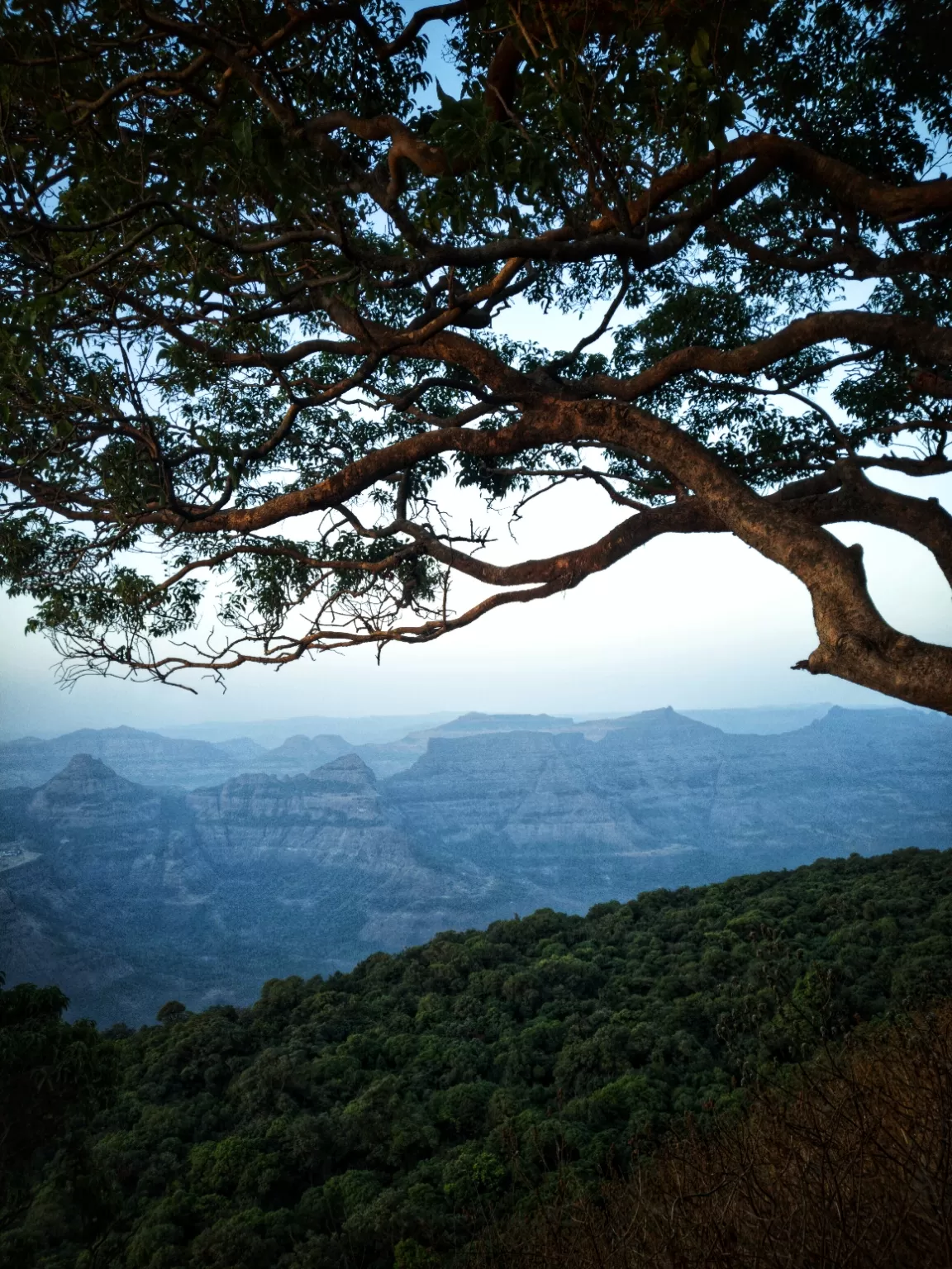 Photo of Harishchandragad By Diana Dsouza