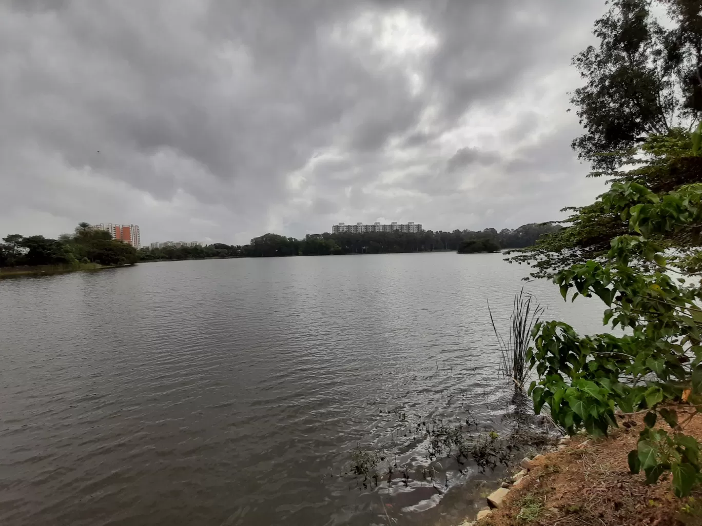 Photo of Kasavanahalli Lake By Mahesh Chandran Pillai