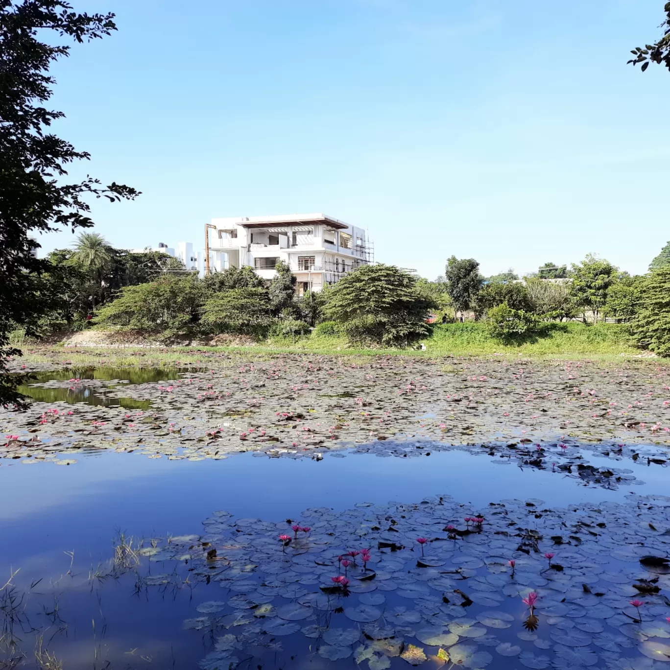 Photo of Kasavanahalli Lake By Mahesh Chandran Pillai