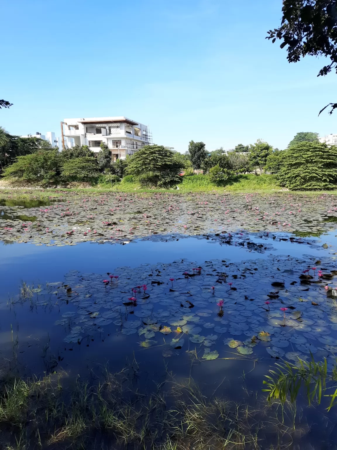 Photo of Kasavanahalli Lake By Mahesh Chandran Pillai