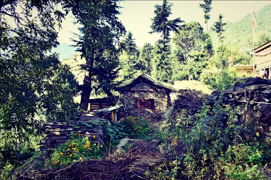 Photo of Himachal Pradesh By Solo50kmph 