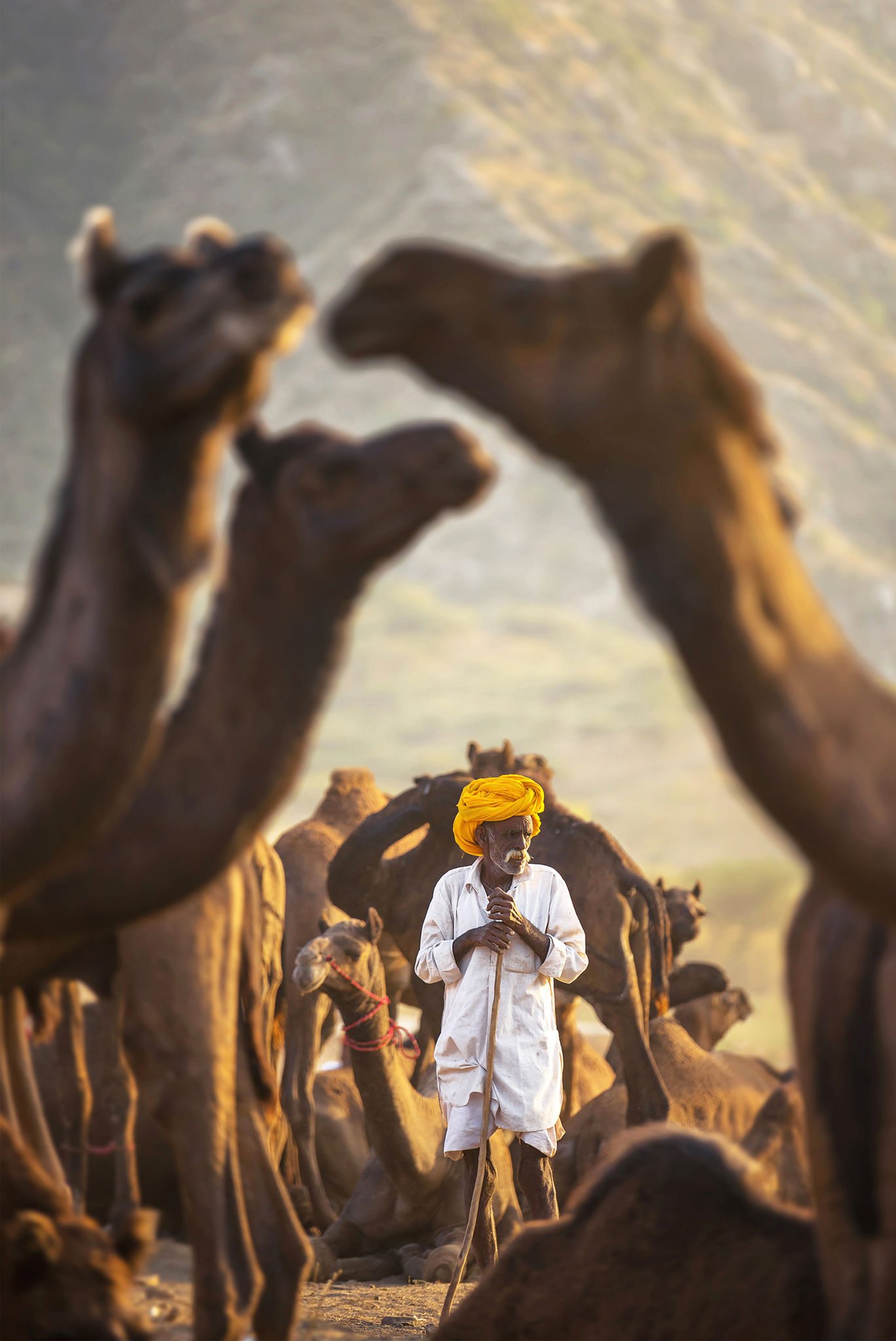 Photo of Pushkar By sourabhgandhi
